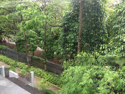 Hillcrest Villa (D11), Terrace #133352902
